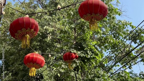 red chinese lanterns hanging on branches in garden as decoration concept and stylization for holidays 