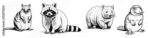 cute animals hand drawn illustration set