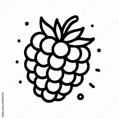Simple line drawing of raspberry with decorative elements  