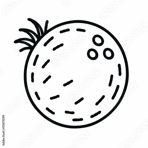 Illustration of a coconut