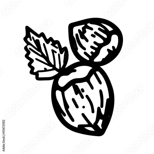 
Vector illustration of high-calorie hazelnuts with a leaf on a white isolated background