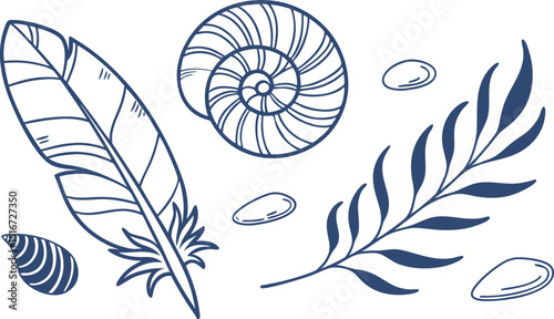 Nautical elements feather shell branch design