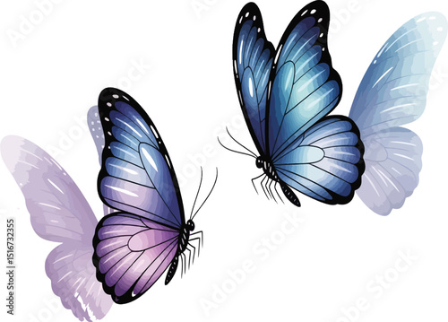 Two butterflies with blue and purple wings flying in a white background close to each other art