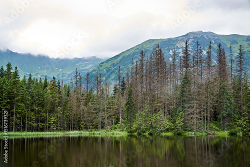 Glacial lake Smreczynski Staw in spring in the Tatra mountains
