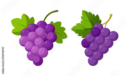 bunch of grapes vector illustration