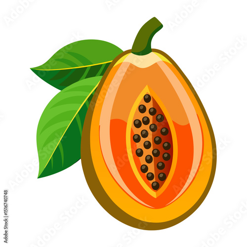 vector illustration of Papaya