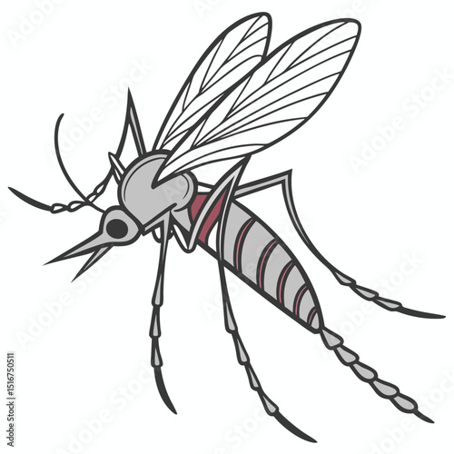 Mosquito spider and fly