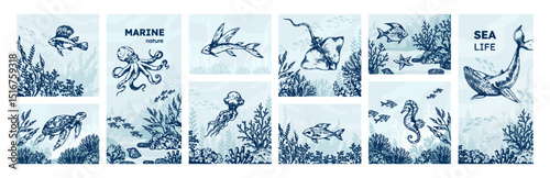 Sea animals. Octopus sketch drawing, whale logo, vintage shell or engraved fish, ocean seahorse. Summer biology, underwater crab and turtle. Card or poster. Vector isolated illustration