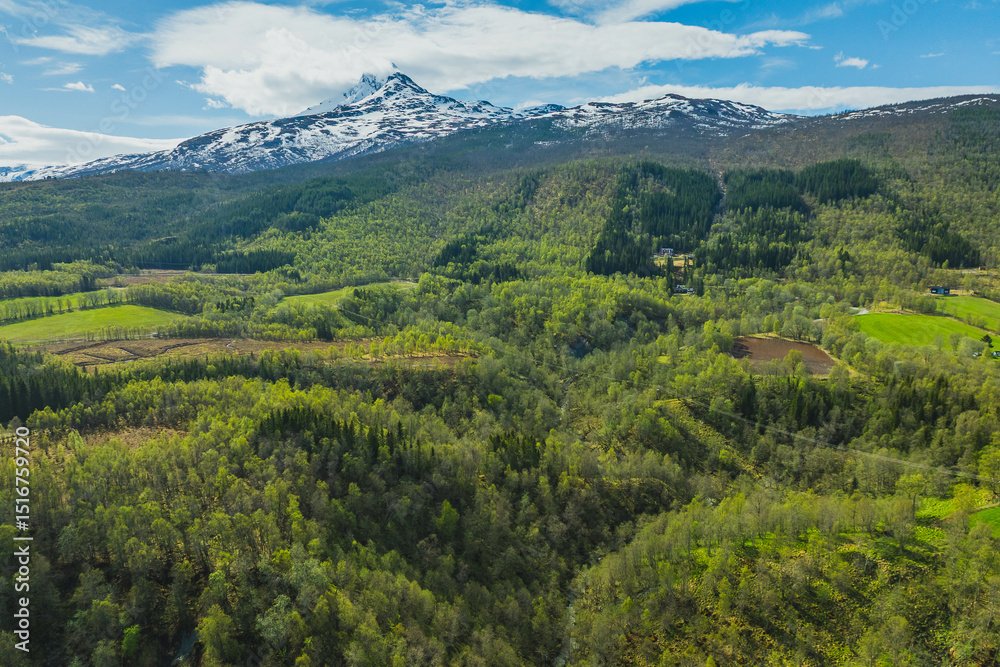 Naklejka premium Mountain view near the city of Narvik in Norway. Spring, sun, greenery and snow-capped peaks.
