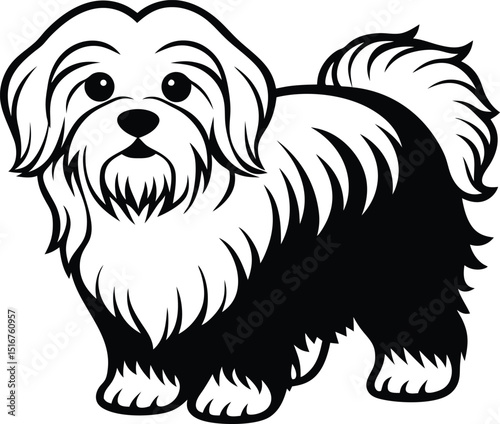 Adorable Maltese Silhouette: A charming Maltese dog in striking black and white silhouette, embodying playful charm. Capture the cuteness and essence of a beloved breed.
