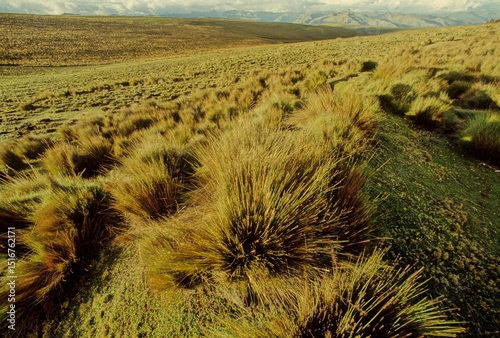 Chimborazo