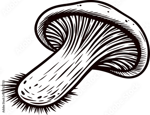 Detailed black and white of a mushroom with textured gills and stem