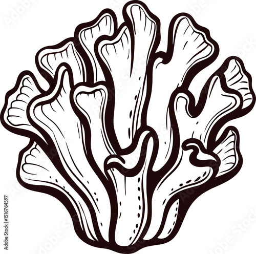 minimalist-organic-coral-structure-with-gentle-cur (1).eps