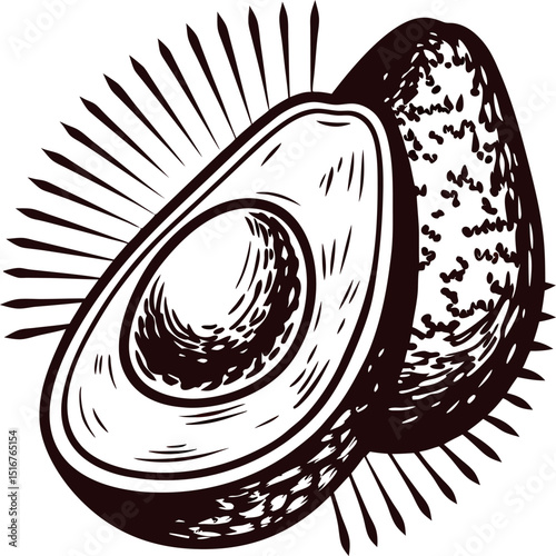Hand drawn vintage engraving of avocado fruit cut in half with detailed seed illustration