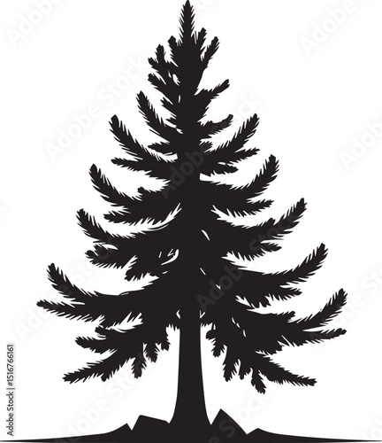 Douglas Fir tree silhouette vector trees on white background