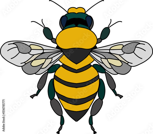 Bee Vector Art illustration, honeybee