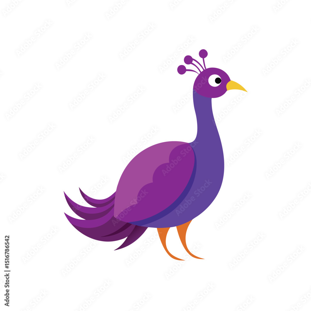 Obraz premium Peacock bird on white background