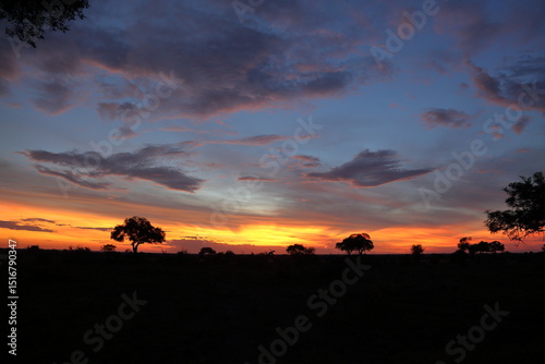 Kruger National Park Sunrise