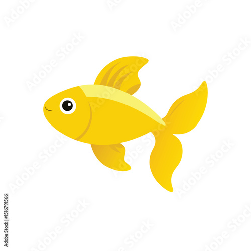 Beta fish On white background