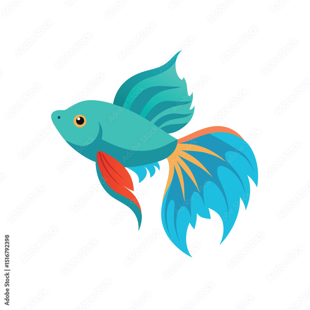 Fototapeta premium Beta fish On white background