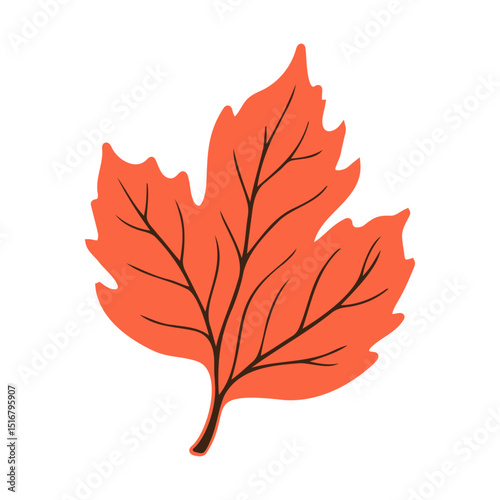 Maple leaf, Red Leaf, autumn leaf, Silhouette and outline leaf veins, Details Vector illustration.