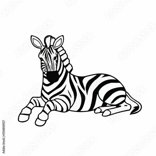 Striped zebra lounging peacefully under a bright sky in a serene nature setting at midday