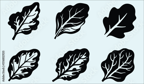 Detailed spinach vegetable silhouette illustration showcasing healthy eating and organic produce in a simple graphic design
