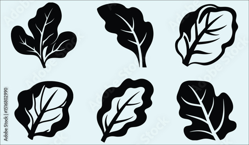 Detailed spinach vegetable silhouette illustration perfect for healthy eating nutrition or agricultural designs and creative projects
