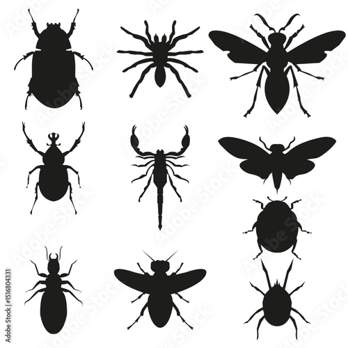 Set of 10 Insects Vector Bundle