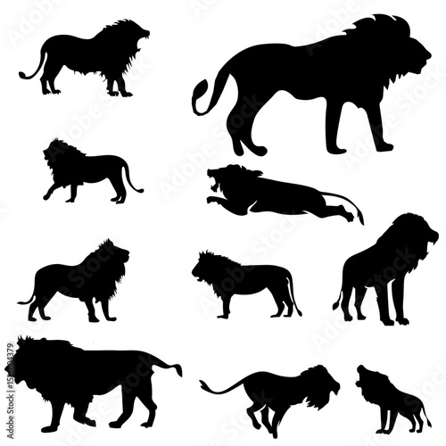 Set Of 10 Lion Vector Bundle