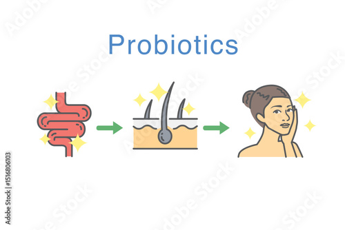 Illustration of probiotics supporting the gut to skin, with glowing intestine and skin icons, leading to a woman touching her face to show healthy, beautiful skin.