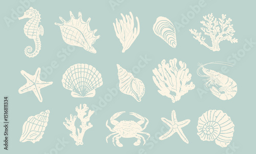Set of various sea shells, starfishes,corals and marine animals. Aquarium plants. Underwater reef and ocean plants flora vector illustration icons set