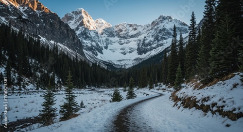 Snowy trail through mountain valley with pine trees and mountain range