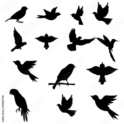 Set Of Bird Vector Bundle