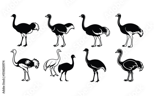 Flamingo and Bird Silhouette Vector Set Illustration.