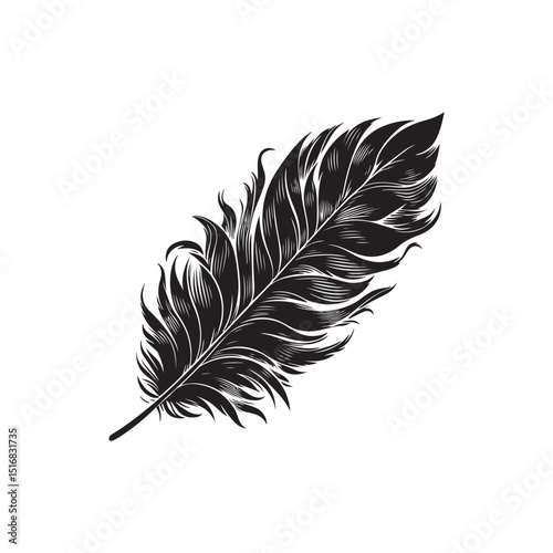 Birds Feather ( singel ) Vector (3).eps