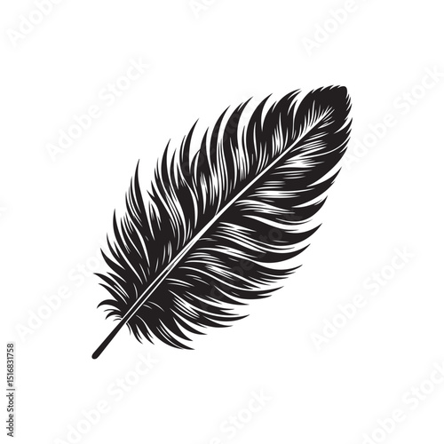Birds Feather ( singel ) Vector (4).eps