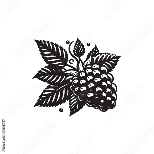 Blackberry Vector (1).eps