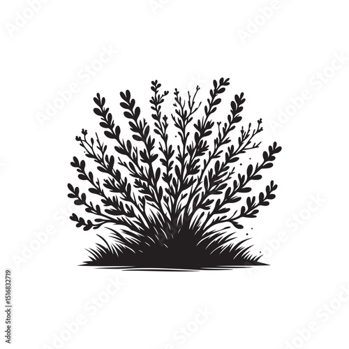 Bush Vector (4).eps