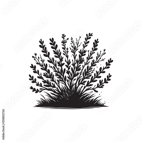 Bush Vector (5).eps