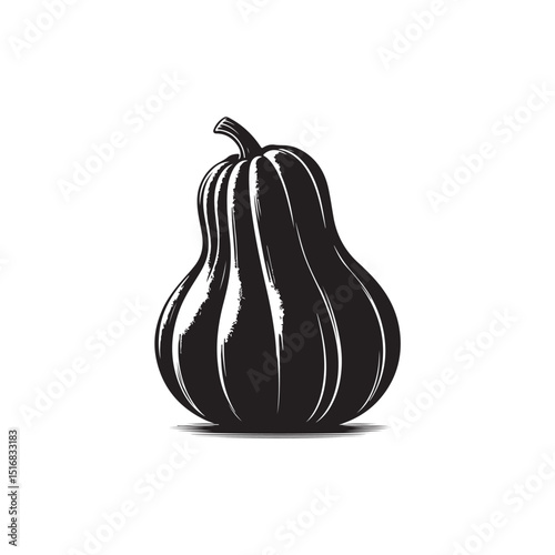 Butternut Squash Vector (2).eps