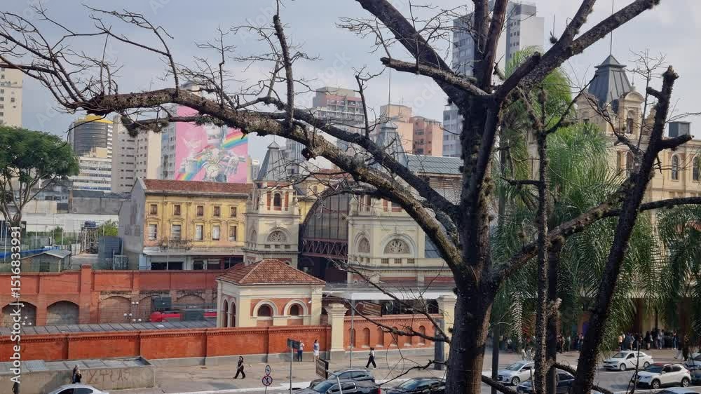 View of Luz Station, partially hidden behind a tree in Sao Paulo city, Brazil.