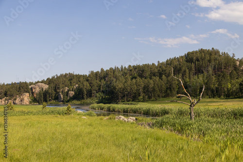 Stockade Lake at Custer State Park, South Dakota