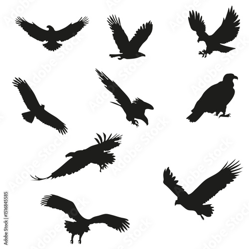 Set of Eagle Bird Silhouette Vector Bundle