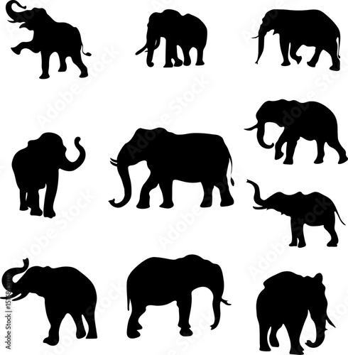 Set of 10 Elephant Animal silhouette Vector File
