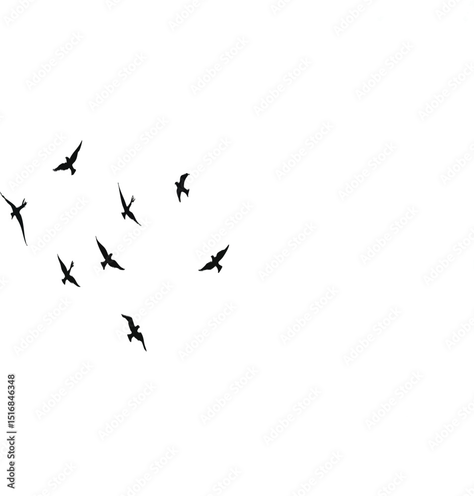 Flying birds silhouettes on white background. Vector illustration. isolated bird flying. tattoo design. Flying birds silhouettes on white background. Vector illustration. isolated bird flying. tattoo design.