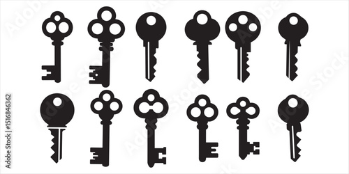 key icon set silhouette vector on white background.