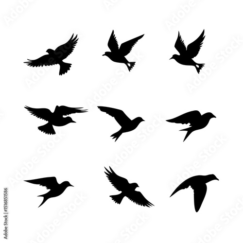 Set of Flying Bird Silhouettes in Various Poses for Nature and Wildlife Design Projects photo