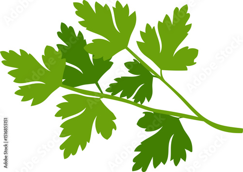 Parsley - vitamin greens for vegetarian nutrition. Flat cartoon drawing.