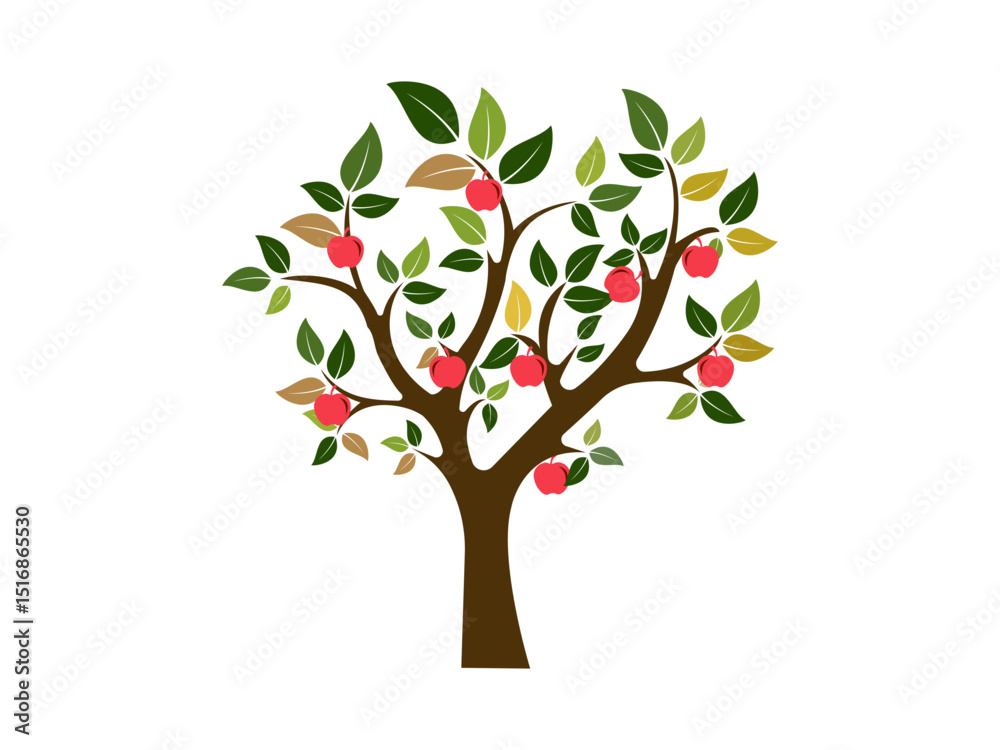 Fototapeta premium Trees Set - Vector Cartoon Illustration, Collection of trees illustrations. Can be used to illustrate any nature. 